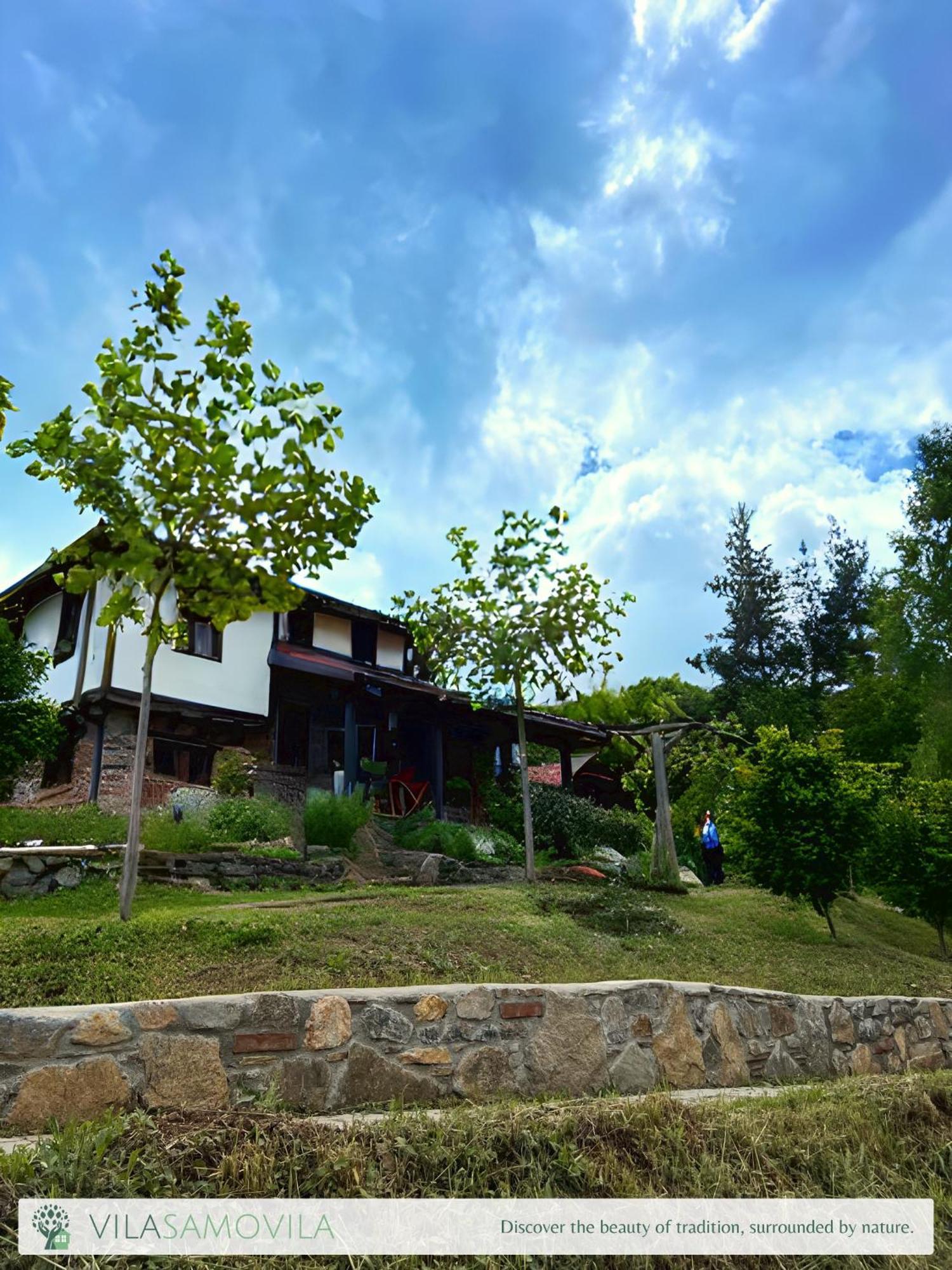Traditional Cottage - Vila Samovila Delcevo 外观 照片